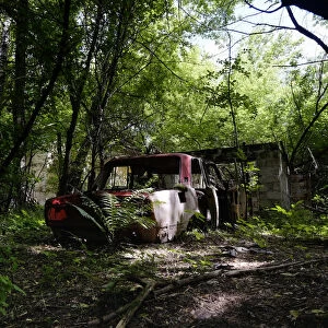 Chernobyl Exclusion Zone