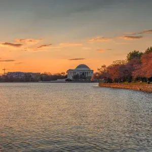 Cherry Blossom Sunrise Cherry Blossom Sunrise
