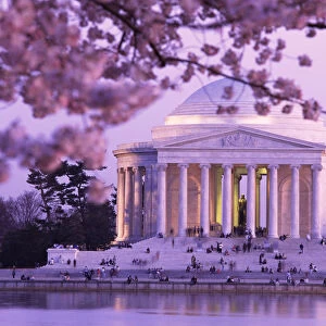 Cherry Blossoms by Jefferson Memorial