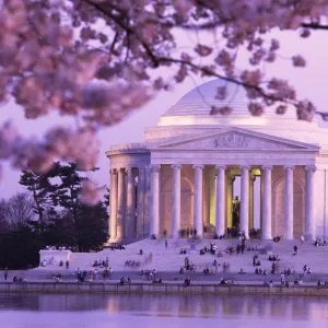 Cherry Blossoms by Jefferson Memorial