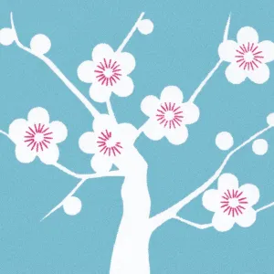 Cherry Blossoms on Tree Cherry Blossoms on Tree