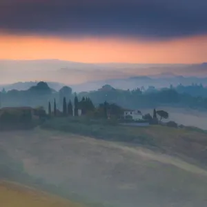 Chianti Dawn Chianti Dawn
