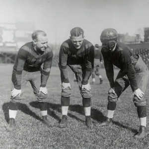 Chicago Bears