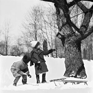 Two children pulling sled, looking up birdhouse in tree, winter