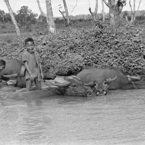 Images Dated 1971 December: 4 Dec 1971