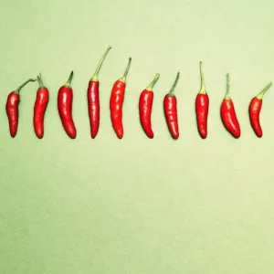 Chili peppers in a row Chili peppers in a row