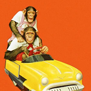 Two Chimpanzees Driving a Toy Car