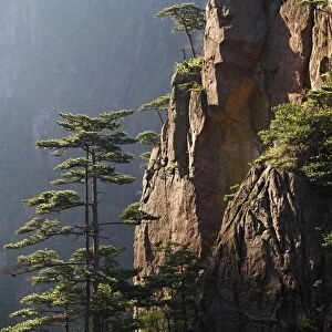 China, Anhui province, National Park of Huangshan mountain