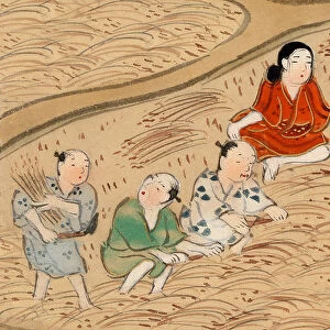 Chinese peasants gathering rice