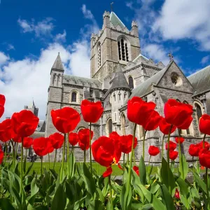 Christchurch Cathedral, Dublin City Christchurch Cathedral, Dublin City