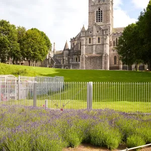 Christchurch Cathedral, Dublin City, Ireland Christchurch Cathedral, Dublin City, Ireland
