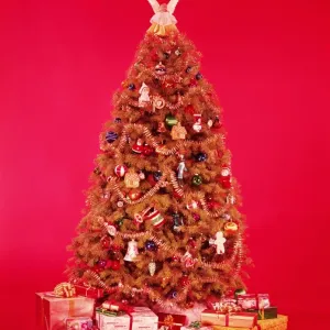 Christmas tree and gifts Christmas tree and gifts