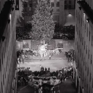 Images Dated 1985 December: 9 Dec 1985