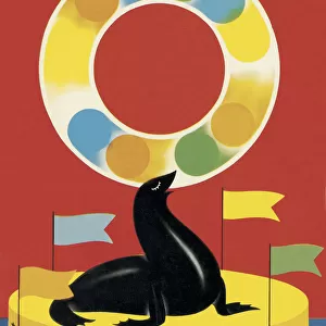 Circus Seal