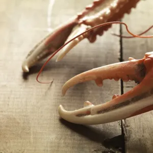 Langoustine Claws Print on Wood Cutting Board Langoustine Claws Print on Wood Cutting Board