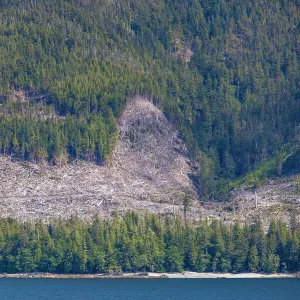 Clearcut logging on Inside Passage to Alaska, Ketchikan, Alaska, USA