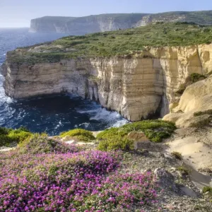 Cliffs with wildflowers Cliffs with wildflowers