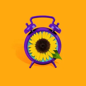 Clock with Sunflower Face Clock with Sunflower Face