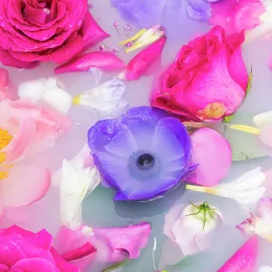 Close up background of fresh summer flowers Close up background of fresh summer flowers