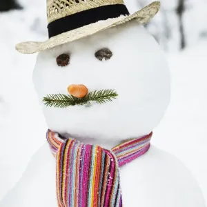 Snowman Portrait Print