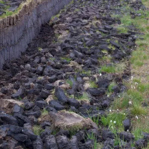 Images Dated 2010 June: 17 Jun 2010