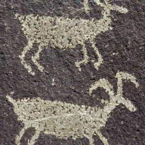 Indian Petroglyphs Print, Ginko Petrified Forest State Park
