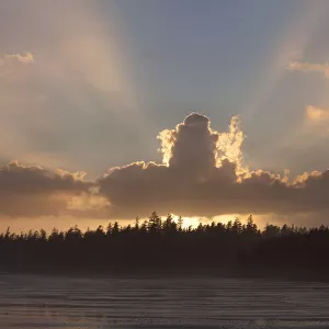 Clouds Are Backlit By The Sun At Sunset At Incinerator Rock Area Of Long Beach In Pacific Rim National Park Near Tofino; British Columbia Canada