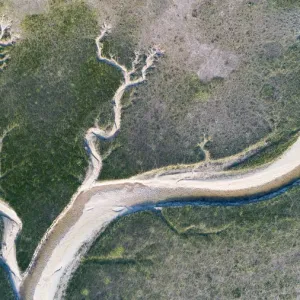 Coastal wetland environment on Schiermonnikoog island, with tidal channels, seen Coastal wetland environment on Schiermonnikoog island, with tidal channels, seen
