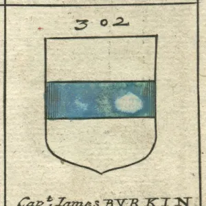 Coat of arms copperplate 17th century Burkin and Tyrell