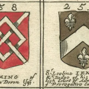 17th Century Fleming and Jenkins Coat of Arms Print 17th Century Fleming and Jenkins Coat of Arms Print