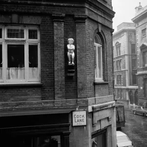 Cock Lane Golden Boy Cock Lane Golden Boy