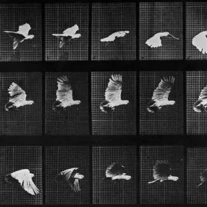 Images Dated 2006 December: 13 Dec 2006