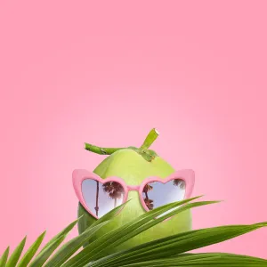 Coconut wearing sunglasses Coconut wearing sunglasses