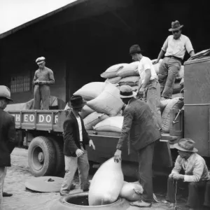 Coffee Delivery, Santos Coffee Delivery, Santos
