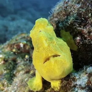 coiba national park