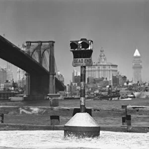 Coin-operated binoculars, Brooklyn Bridge and Manhattan skyline in background, New York City, USA, (B&W)