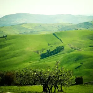 Colli Lucani Colli Lucani