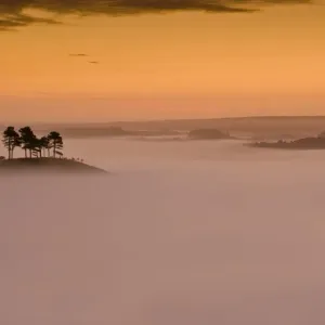 Colmers Hill Morning Mist Print Colmers Hill Morning Mist Print