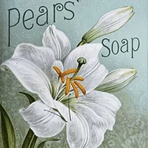 Color ad for Pears soap, 1890