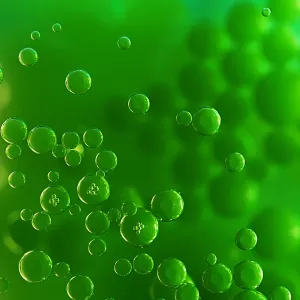 Color Bubbles Color Bubbles