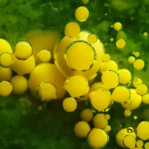 Color Bubbles Color Bubbles