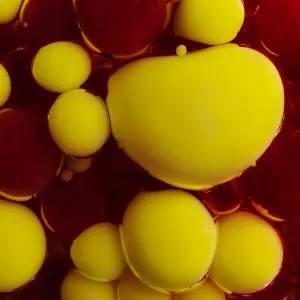 Color Bubbles Color Bubbles