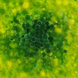 Color Bubbles Color Bubbles
