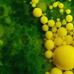 Color Bubbles Color Bubbles