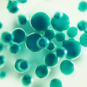 Color Bubbles Color Bubbles