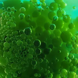 Color Bubbles Color Bubbles
