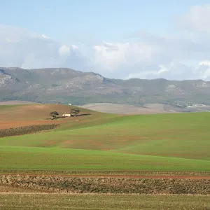 Images Dated 2010 October: 5 Oct 2010