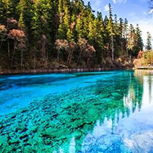 Five Color Pond, Jiuzhai Valley National Park