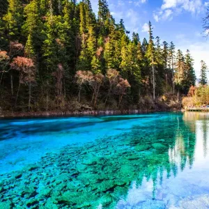 Five Color Pond Print, Jiuzhai Valley National Park Five Color Pond Print, Jiuzhai Valley National Park