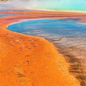Colored mineral deposits at the edge of the steaming hot spring, detail view, Grand Prismatic Spring, Midway Geyser Basin, Yellowstone National Park, Wyoming, USA